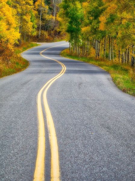 Colorado Curved Roadway near Aspen-Colorado in autumn colors and aspens groves